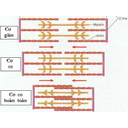 Show  Image