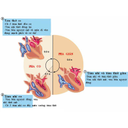 Show  Image