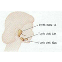 Show  Image