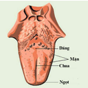 Show  Image
