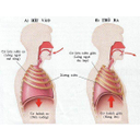 Show  Image