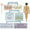 Show  Image