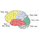 Show  Image