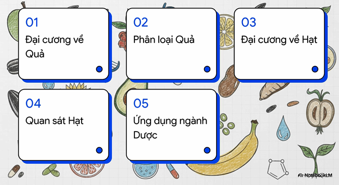 TH Quả và Hạt