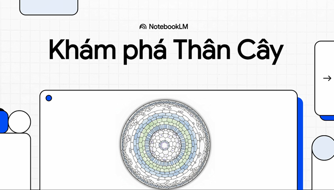 Thân cây